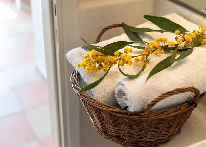 Margarita Countryside *