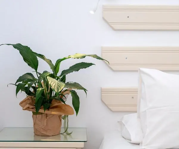 Margarita Countryside Пунда