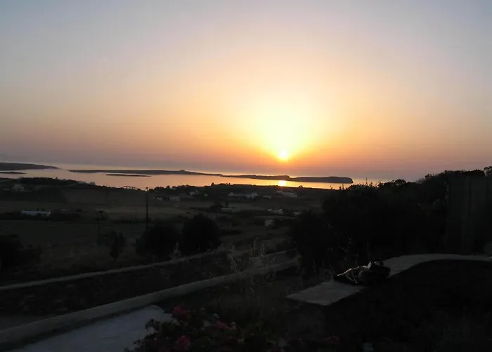 Margarita Countryside * Пунда