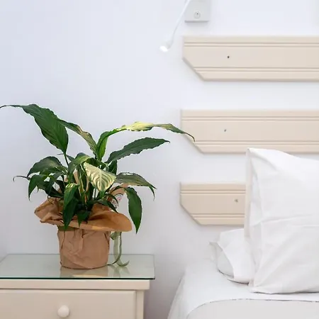 Margarita Countryside Πούντα